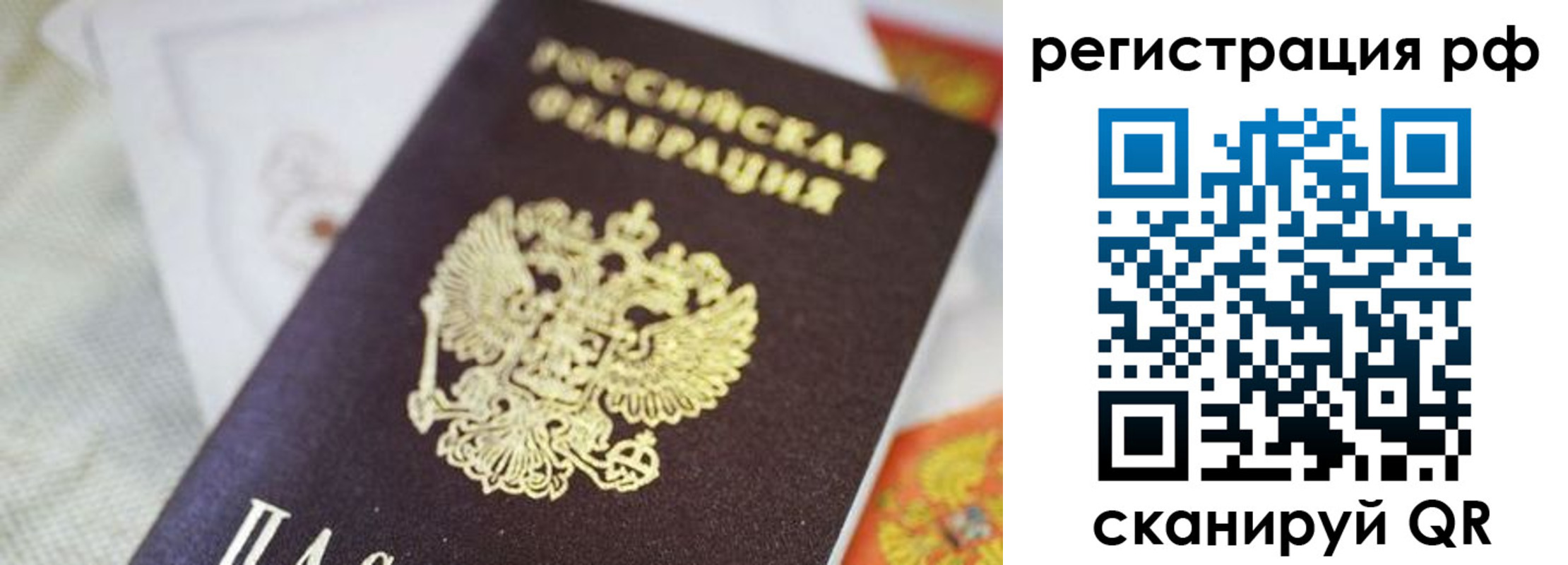 прописка гарантия в Тольятти